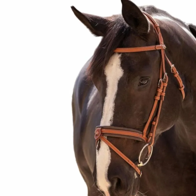 Bridons*Pénélope - Bridon Elégance Cognac