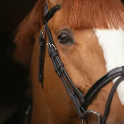 Discount - Bridon Oxford Bridons