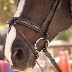 Sale - Bridon Smoothie avec rênes Cso|Bridons