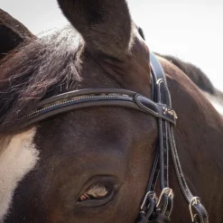 Sale - Bridon Smoothie avec rênes Cso|Bridons