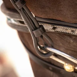 Sale - Bridon Smoothie avec rênes Cso|Bridons