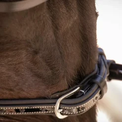 Sale - Bridon Smoothie avec rênes Cso|Bridons