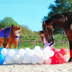 - Chemise manches longues de concours Showshirt blanc/ noir Enfant Polos Et Chemises|Polos Et Chemises