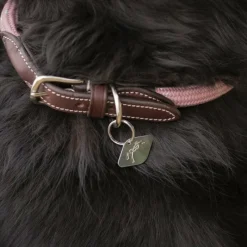 - Collier pour chien Billie / lurex Colliers