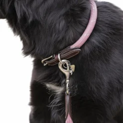 - Collier pour chien Billie / lurex Colliers