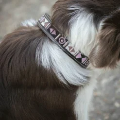 Colliers*Pénélope - Collier pour chien Pearls Havane/ Rose