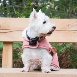 Colliers*Pénélope - Collier pour chien Pearls Havane/ Rose