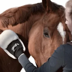 Online - Gant de pansage Grooming|Gants De Pansage