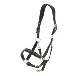 - Licol cheval cuir Point Sellier Élevage|Licols En Cuir