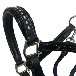 - Licol cheval cuir Point Sellier Élevage|Licols En Cuir