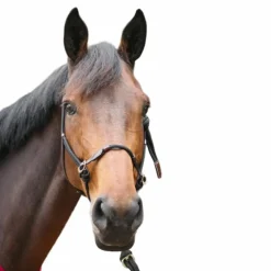 Éthologie|Licols Éthologiques*Pénélope - Licol cheval Ethologique noir