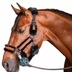 - Licol mouton et cuir / Licols Poneys|Licols Avec Mouton