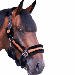 - Licol mouton et cuir / Licols Poneys|Licols Avec Mouton