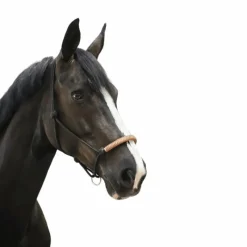 Éthologie|Licols Éthologiques*Pénélope - Licol éthologique américain noir