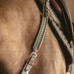 Colliers De Chasse*Pénélope - Martin Collier havane Marron