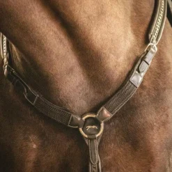 Colliers De Chasse*Pénélope - Martin Collier havane Marron