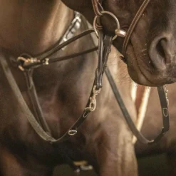 Rênes Et Arrêtoirs De Rênes*Pénélope - Rênes Howlett cuir Noir