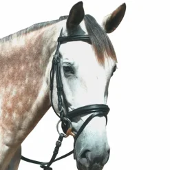 Bridons|Cso*Privilège Equitation Privilege Equitation - Bridon Touquet avec rênes Noir