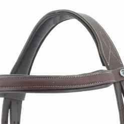 Bridons Poneys|Bridons*Privilège Equitation Privilege Equitation - Bridon Touquet avec rênes marron Havane