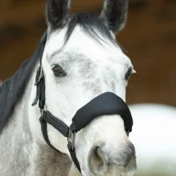 Licols Poneys|Ensembles Licols Et Longes*Pro Confort - Ensemble licol ergonomique et longe Dorai en mesh Noir