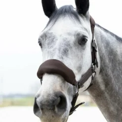 Clearance - Ensemble licol ergonomique et longe Dorai en mesh Licols Poneys|Ensembles Licols Et Longes