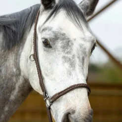 Licols Poneys*Pro Confort - Licol de grooming Dialou Marron