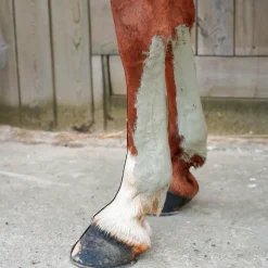 Argiles*Ravene - Argile rafraîchissante et apaisante Tendiflex +