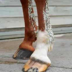 Argiles*Ravene - Argile rafraîchissante et apaisante Tendiflex +