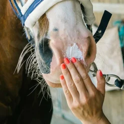 Protection Solaire|Anti-Démangeaisons*Ravene - Crème solaire Sun Protec