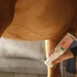 Online - Eco-recharge démêlant Easy Shine Intense Élevage|Grooming