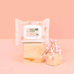 Best - Lingettes nettoyante robe/ yeux et naseaux Easy Shine (25pcs) Élevage|Lingettes Nettoyantes