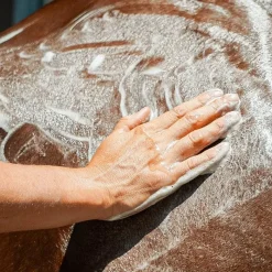 Shampoings Pour Chevaux*Ravene - Shampoing protecteur Emouchine