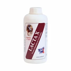 Récupération Musculaire|Électrolytes*Rekor - Complément alimentaire liquide réhydratant Lacta X