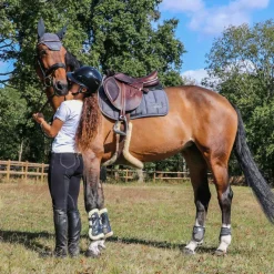 Cso|Bonnets Pour Chevaux*RG Italy - Bonnet court crochet gris
