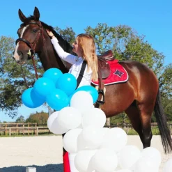 Amortisseurs*Riding World - Amortisseur Rouge