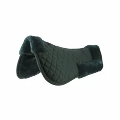 - Amortisseur Amortisseurs