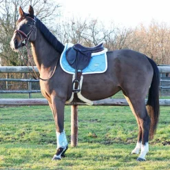 Amortisseurs*Riding World - Amortisseur pour chevaux Blanc