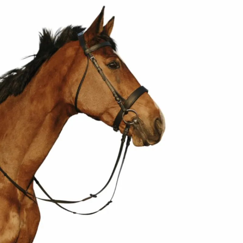 New - Bridon muserolle large avec rênes Bridons Poneys|Bridons