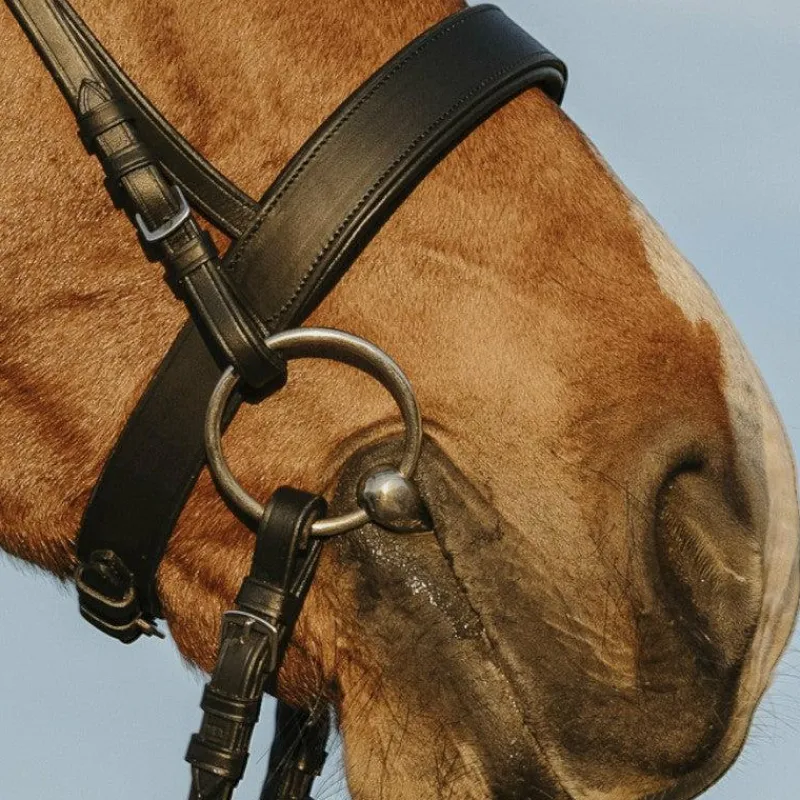 New - Bridon muserolle large avec rênes Bridons Poneys|Bridons