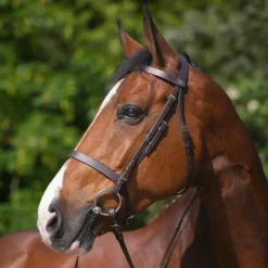 Cso|Bridons Poneys*Riding World - Bridon muserolle française avec rênes Havane
