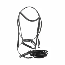 Cso|Bridons Poneys*Riding World - Bridon Muserolle Combinée avec rênes Noir