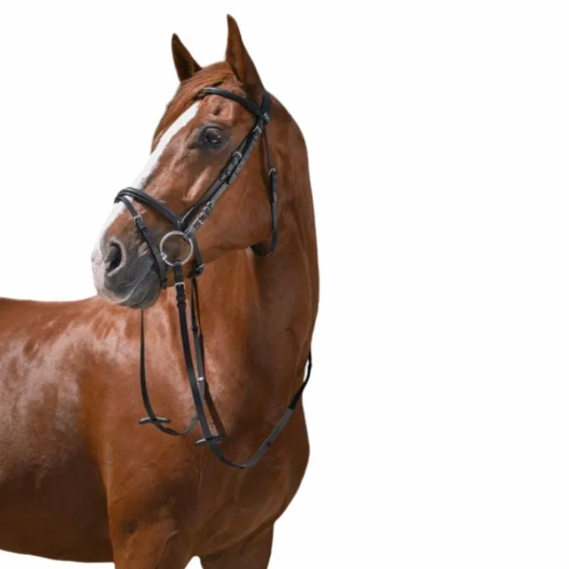 Cso|Bridons Poneys*Riding World - Bridon Muserolle Combinée avec rênes Noir