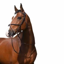 Clearance - Bridon Muserolle croisée avec rênes Cso|Bridons Poneys