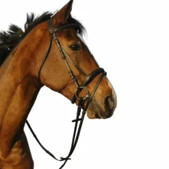 Bridons Poneys|Bridons*Riding World - Bridon muserolle combinée double avec rênes Noir