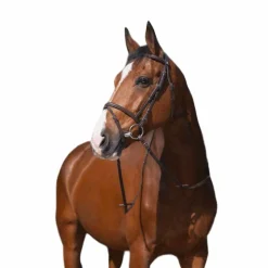 Cso|Bridons Poneys*Riding World - Bridon Muserolle Combinée avec rênes Havane