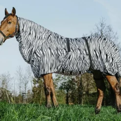 Clearance - Chemise anti-eczéma zèbre Couvertures Poneys|Couvertures Et Chemises