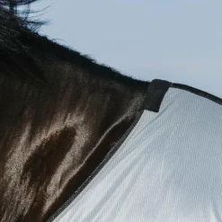 Best - Chemise anti-mouches mesh Belly e Couvertures Poneys|Couvertures Et Chemises