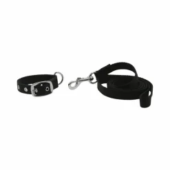 Colliers*Riding World - Collier et laisse pour chien Oscar Noir