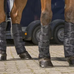 Guêtres De Transport|Guêtres De Transport*Riding World - Guêtres de transport basses noir x4