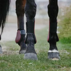 Guêtres Ouvertes Poneys|Guêtres Ouvertes*Riding World - Guêtres protège-tendons x2 Bordeaux